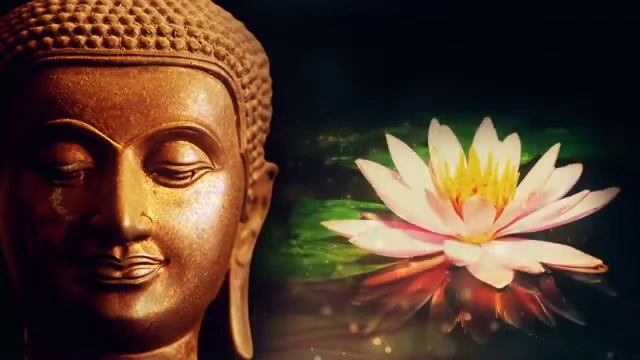 Reiki Music Body, Mind and Soul Healing Energy Zen Lotus Flower 432 hz смотреть онлайн