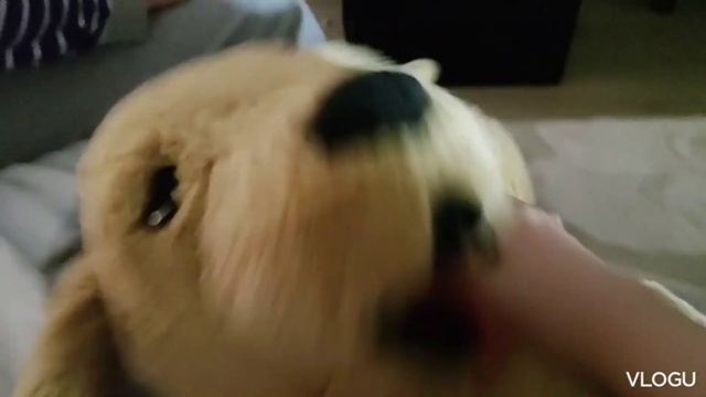 Алексей В игрушка Алексей голден анимация 3D # смотреть онлайн