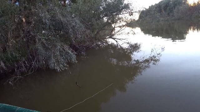 ТРЯСЛО КАК АЛКАШЕЙ КОГДА ВЫТАЩИЛИ ЭТО СО ДНА! смотреть онлайн