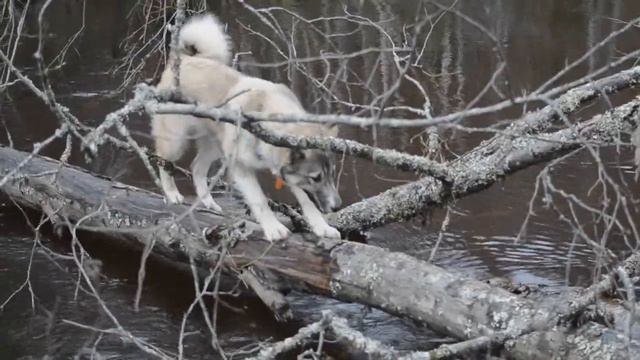 переход реки смотреть онлайн