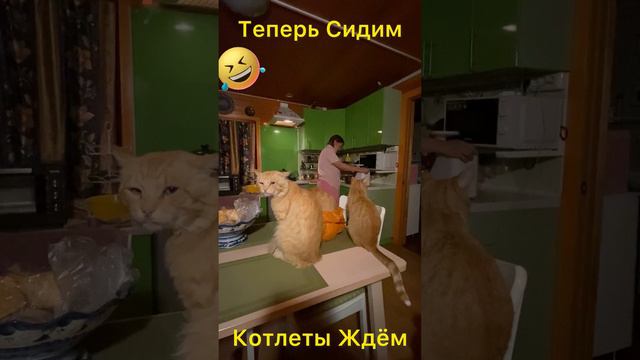 Делаем Фарш из Щуки😂👍Ребятишки Ждут👋😜