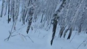 Фрирайд в Абзаково 13 дек