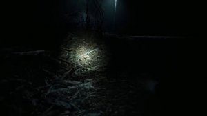 Прохождение Blair Witch (Ведьма из Блэр) — Часть 4: Лагерь