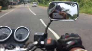 Honda Jade 250 Top Speed