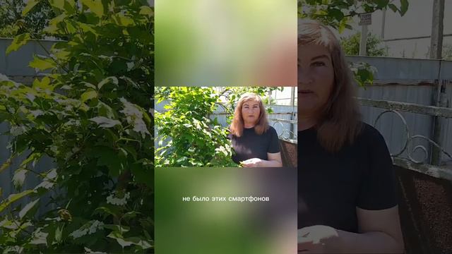 Дерево предсказывающие теплую погоду