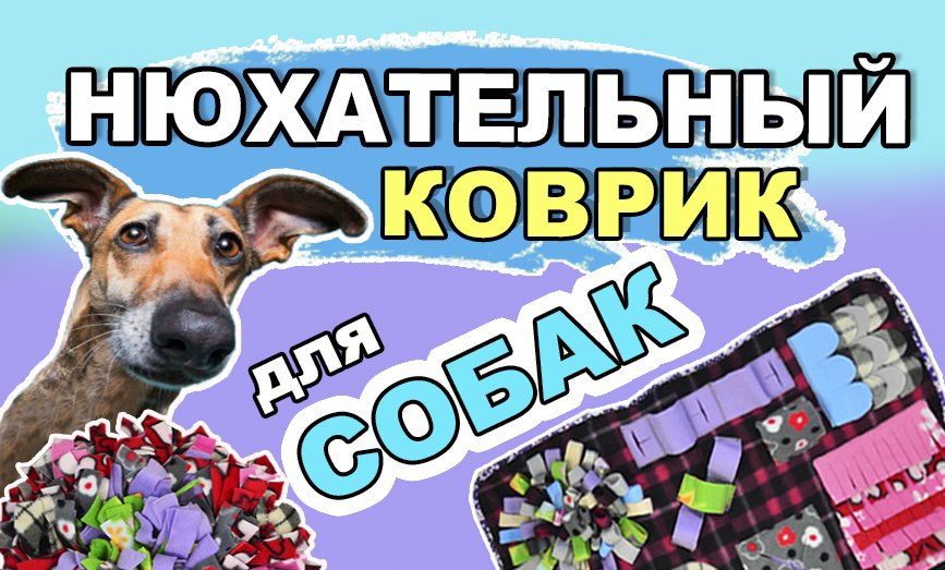 2 способа сделать нюхательный коврик для собаки