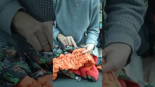 Одежда для собак Зооателье Софи