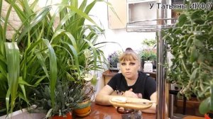 Как использовать ЧАЙ для ухода за комнатными растениями!