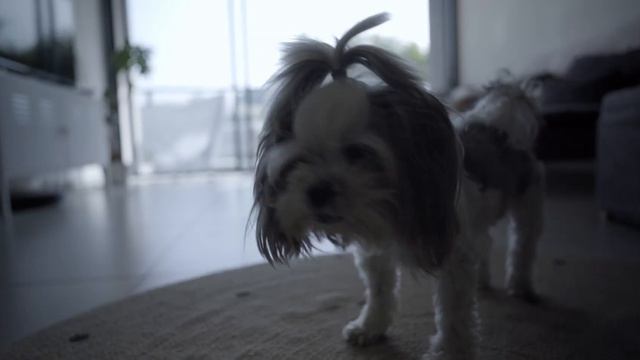 Squid Game iPhone 14 App in Figma смотреть онлайн