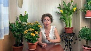 Как поливать комнатные цветы. Вода для полива растений.