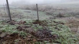 ОЧЕНЬ КРАСИВЫЕ ПТИЦЫ НА НАШЕМ ПОДВОРЬЕ! ЛАВАНДОВЫЕ УТКИ, ЦЕСАРКИ, КУРЫ И КРАСНЫЕ ЯЙЦА! КОРМЛЕНИЕ