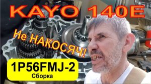 Сборка двигателя Kayo 140E (1P56FMJ-2)