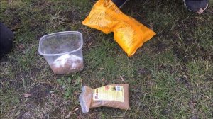 Как защитить газон от мха