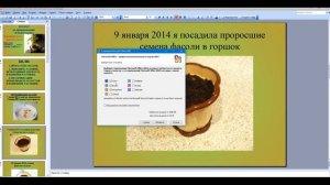 Как открывать файл с расширением формата ppt ?