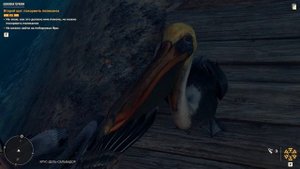 Far Cry 6 . Шоковая терапия. Гайд как накормить рыбой пеликана. How and Where to Feed the Pelicans