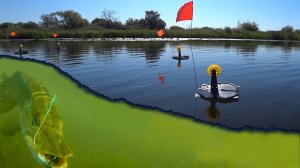 Рыбалка на ЖЕРЛИЦЫ летом! Ловля щуки на живца с подводными камерами!