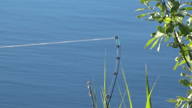 Лучший фидерный монтаж. Самый простой. Моё мнение. смотреть онлайн