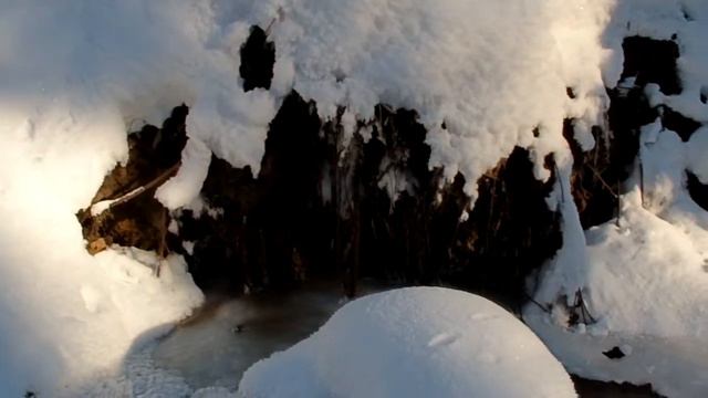 зимний лес смотреть онлайн