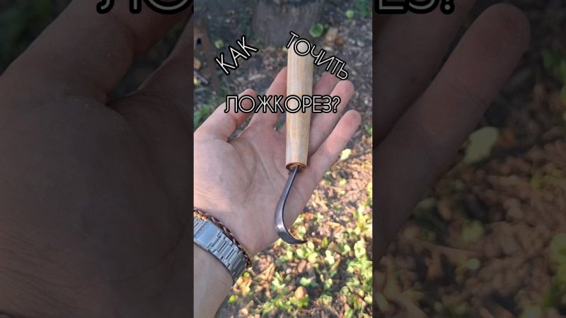 КАК ЗАТОЧИТЬ ЛОЖКОРЕЗ? #forestroach #бушкрафт #bushcraft #выживание #diy