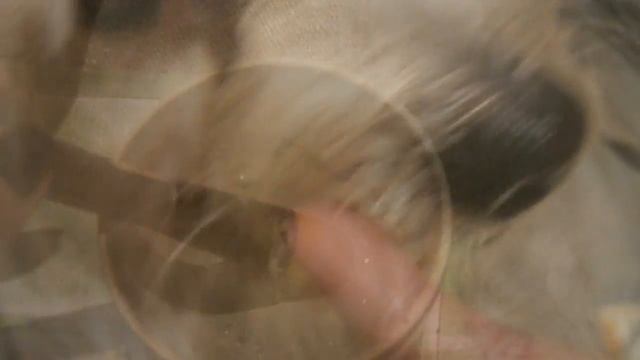 Слезотечение у собак. Эпифора. Неожиданный метод лечения глиной. Белая мордочка без ржавых подтеков смотреть онлайн