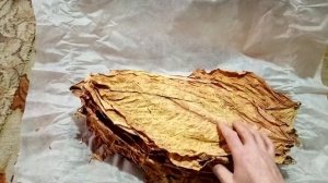 Вирджиния-202, процесс сушки и получилась gold.