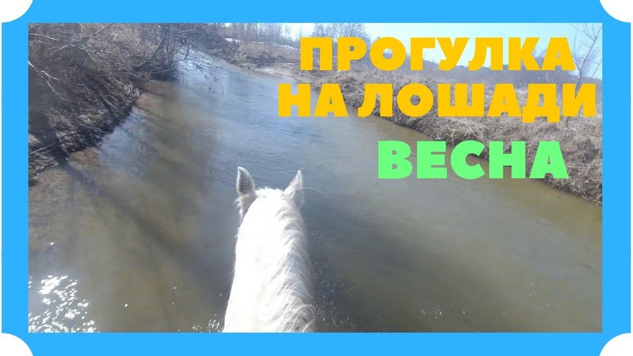 СЛЕДУЮЩИЙ ЭТАП К ЗАЕЗДКЕ МОЛОДОЙ ЛОШАДИ-ПОЛЕВЫЕ ИСПЫТАНИЯ