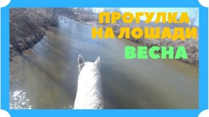 СЛЕДУЮЩИЙ ЭТАП К ЗАЕЗДКЕ МОЛОДОЙ ЛОШАДИ-ПОЛЕВЫЕ ИСПЫТАНИЯ