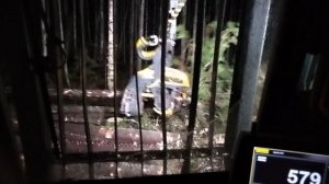 VID_20221112_181045.mp4