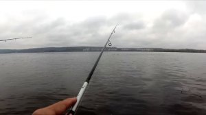 ЭТА НОВИНКА ЛОВИТ С КАЖДОГО ЗАБРОСА! Ловля судака с берега на джиг. Рыбалка весной на спиннинг