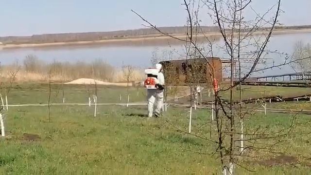 Акарицидная Обработка от клещей +79507402798 дачного, садового и лесного участка смотреть онлайн