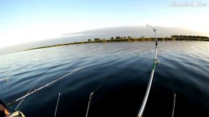 оз. Чаны, рекордные сазаны за 2017   2018