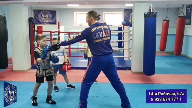 Центр нокаут омск. Лапы для бокса. Нокаут омск. Нокаут омск. Никита нефедов омск нокаут клуб.