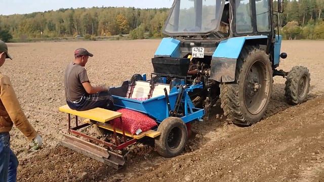 Посадка чеснока механизированным способом с помощью трёхрядной прицепной сажалки и трактора Белорус