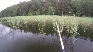 рыбалка на озере на поплавок и спиннинг с лодки Псковская область