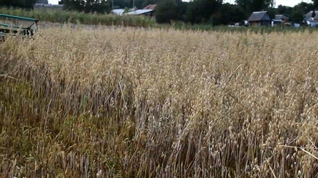 МИНИ-КОМБАЙН ИЗ МОТОБЛОКА смотреть онлайн