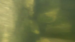 Озеро Нухун-Гол 2019