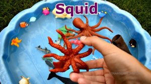 Animals Farm Toys Baby and Mom - Learn Animals Names Toys for Kids Baby