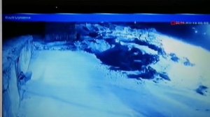 Алабай против стаи волков, человек собаке друг.