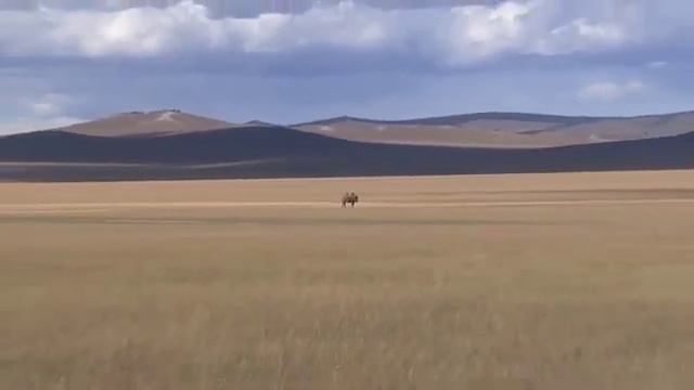 mong11 061500 1 смотреть онлайн