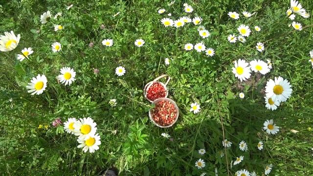 В САДУ СССР. смотреть онлайн