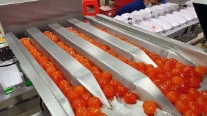 Весовая сортировочная машина с вращающимися лотками