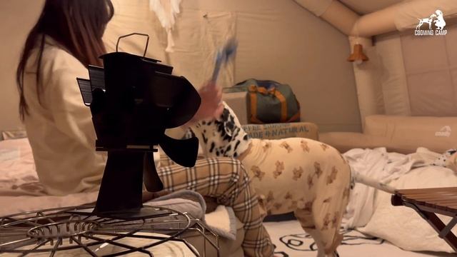 개인 캠핑장 27일차? 손가락 골절?? 울타리 만들다가 결국 깁스했어요?? 손수 만든 개인 캠핑장 40만원으로 가능해? 장작소리 ASMR. Solo Camping. 노지캠핑은 쿠 смотреть онлайн