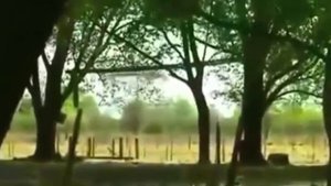 ЛЕТАЮЩАЯ ТАРЕЛКА НЛО