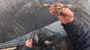 Проверка раколовок