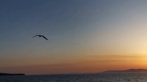 Закат над Амурским заливом. Замедленное видео