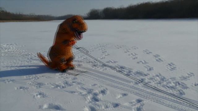 Алан катается на горных лыжах за мотособакой. Alan skiing on a motorized dog смотреть онлайн