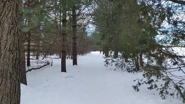 - Я не хочу жить в одном доме с изменником, - заявила мама и пришла жить к нам смотреть онлайн