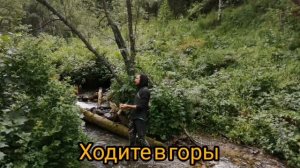 Пятеро смелых