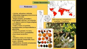 Clase teórica 6 de octubre Primera parte