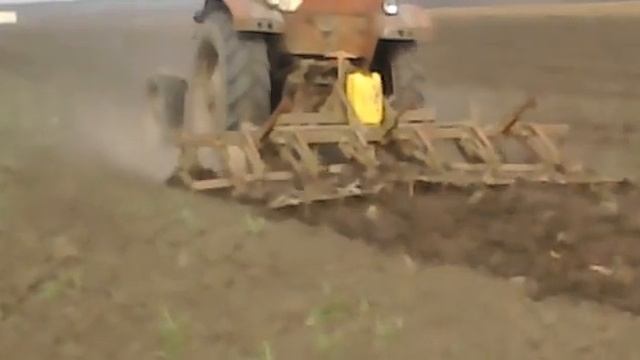 Jinma и 3в1 смотреть онлайн